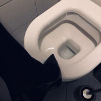 Extrem Toilettentraining