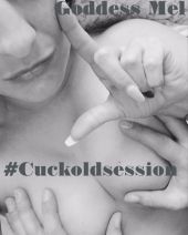 Foto zu Blogeintrag Live SESSION für Cuckolder!