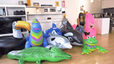 Inflatables-Zoo mit High Heels zerstört